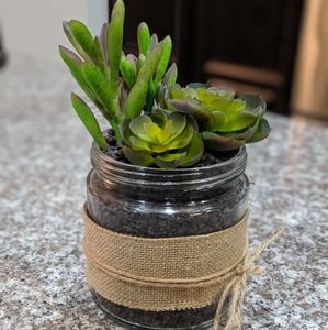 Decorative plants in jar. Used  home decor